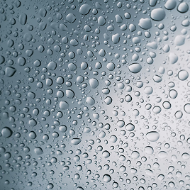 Piel nutrida menopausia