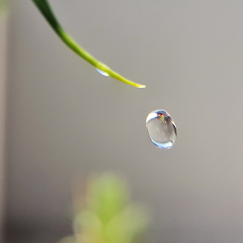 Piel nutrida menopausia