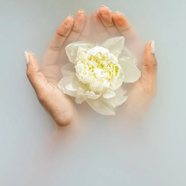 Piel nutrida menopausia